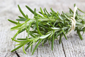 11 Amazing Health Benefits of Rosemary